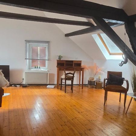 Loft Gaia Διαμέρισμα Brunstatt-Didenheim Εξωτερικό φωτογραφία