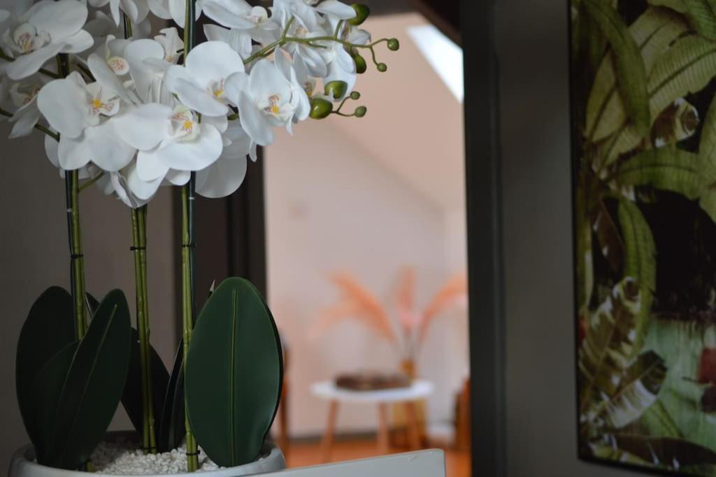Loft Gaia Διαμέρισμα Brunstatt-Didenheim Εξωτερικό φωτογραφία